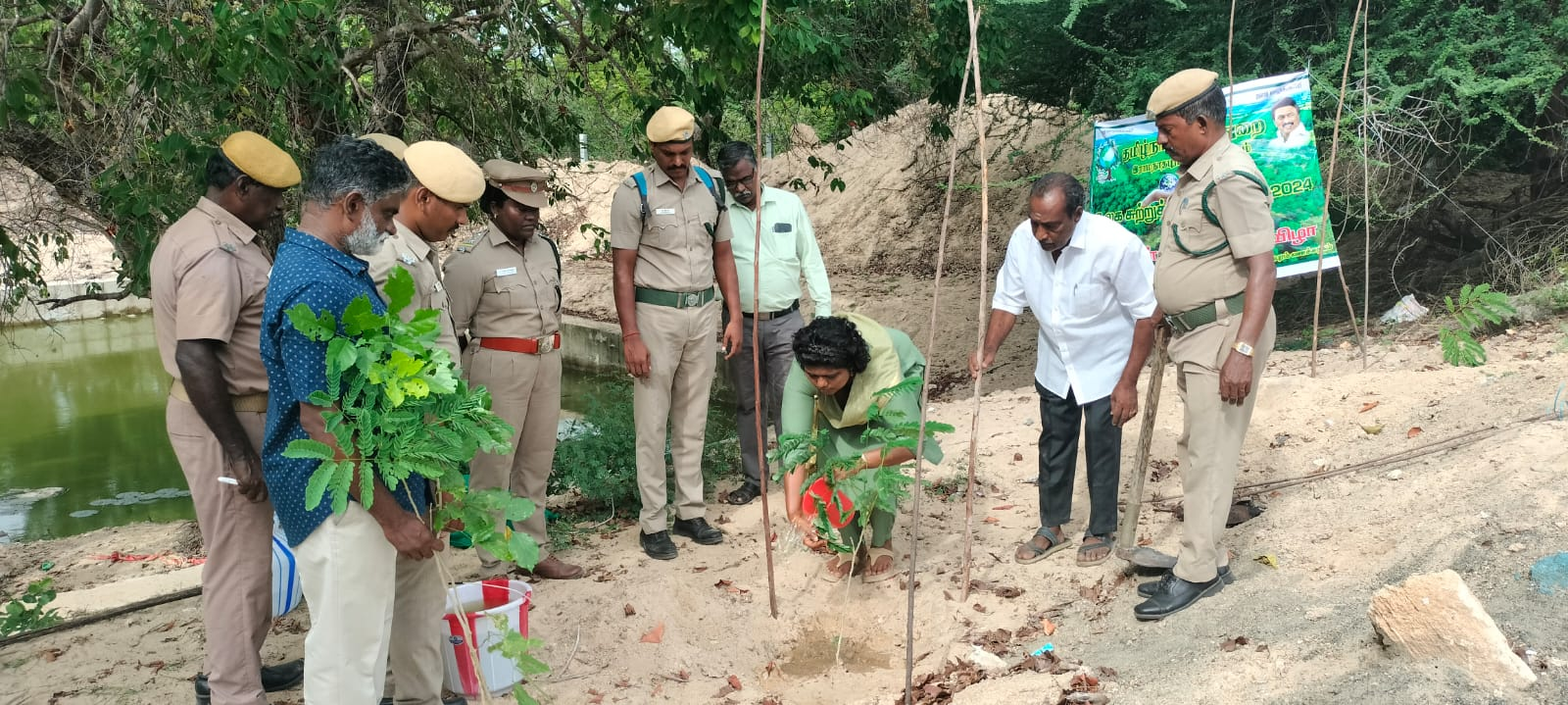 Planting trees