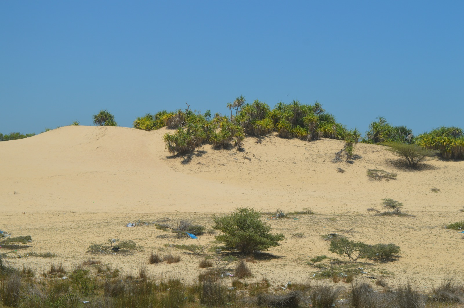 Sand dunes