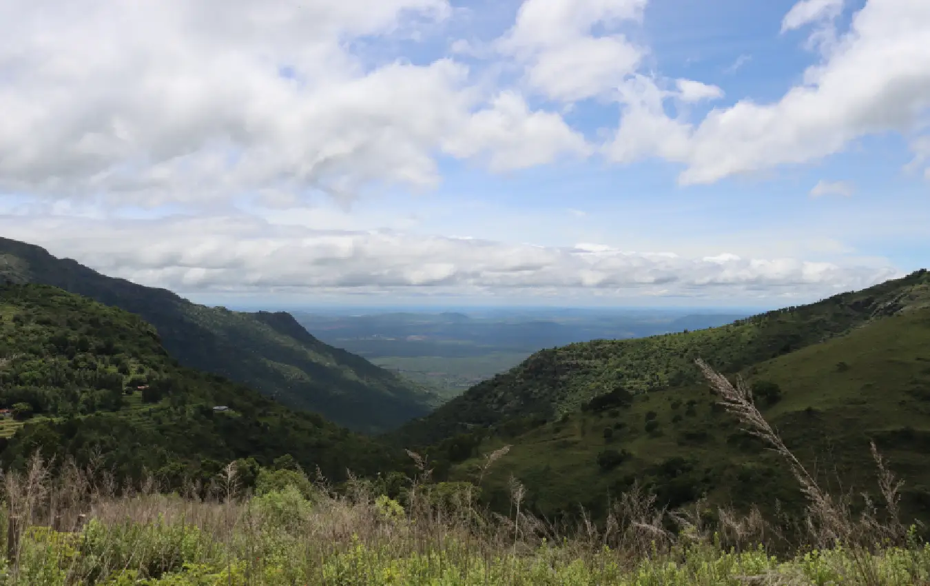 elephant conservation