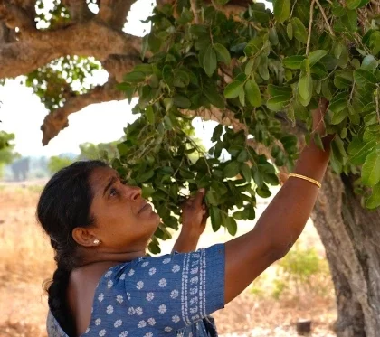 Mrs. Kavitha Bharathidasan